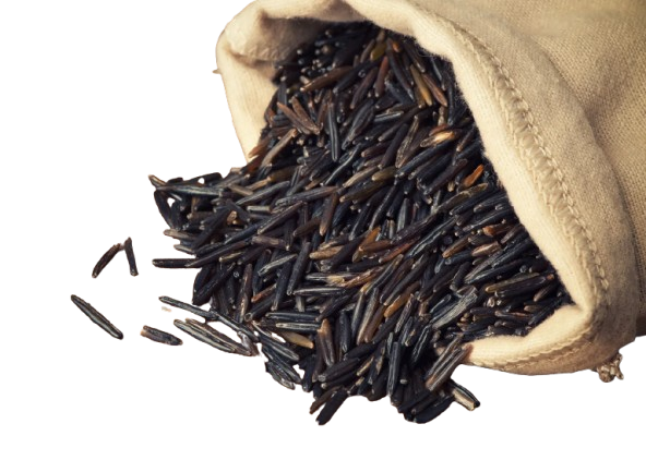 Wild Rice